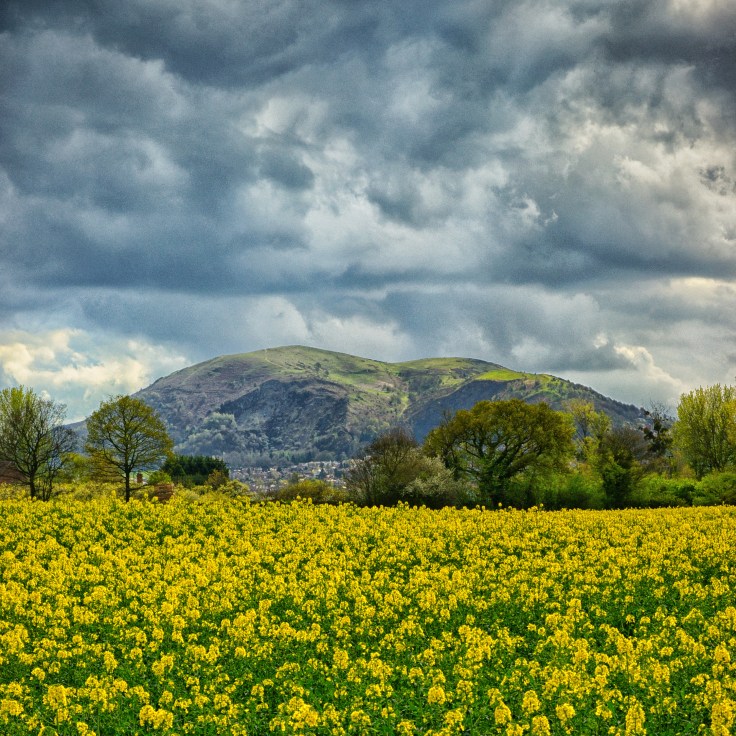 Malvern Hills seen from Leigh Sinton