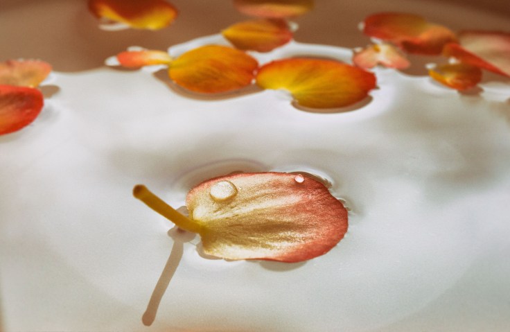 surface tension no.1