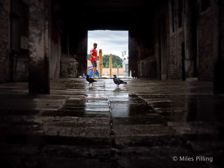 260814Venice2_1003-Edit