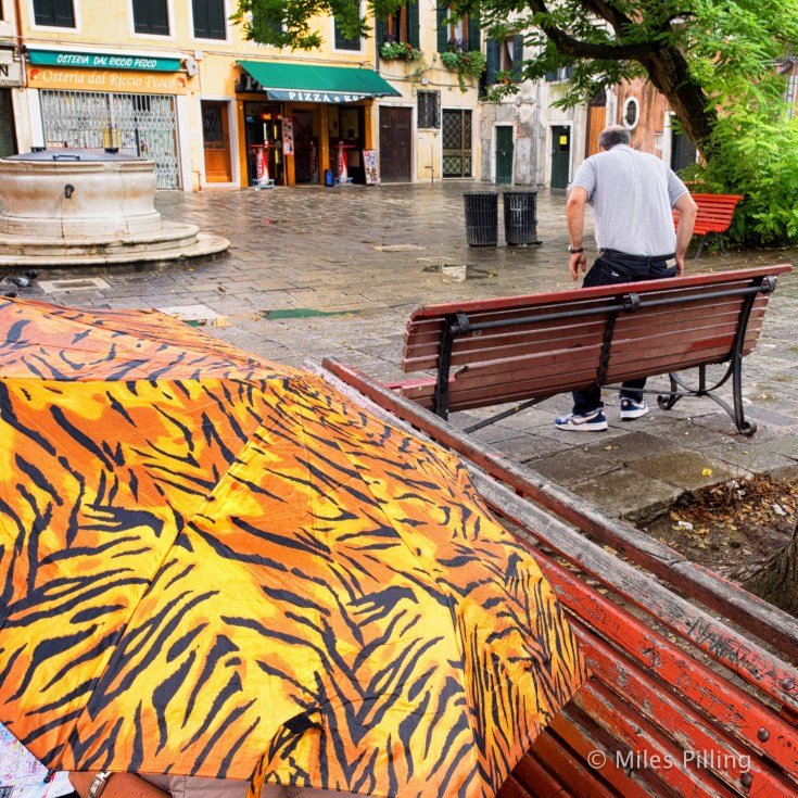 260814Venice2_1116-Edit