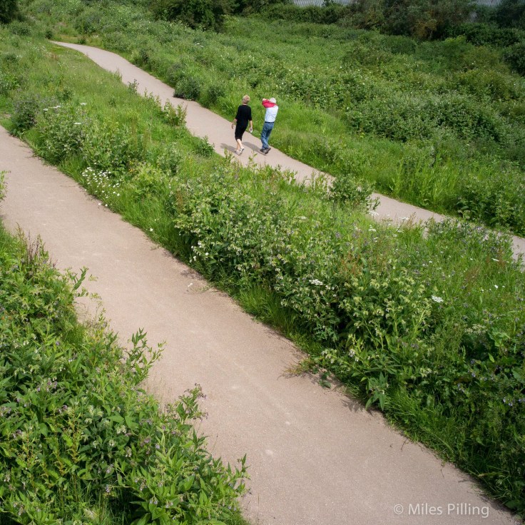 R0012320-Edit_edited-1