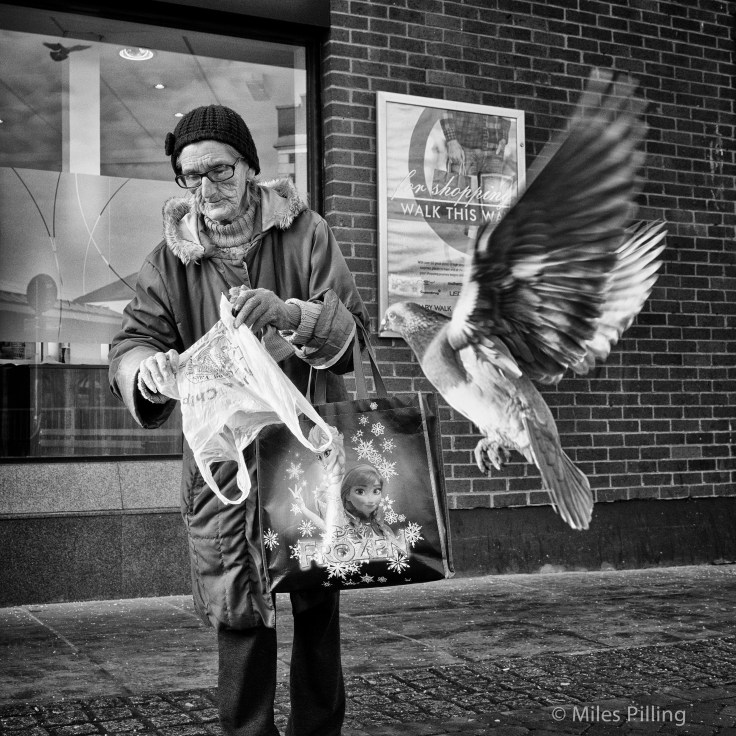 DSC00050-Edit-Edit-Edit-Edit