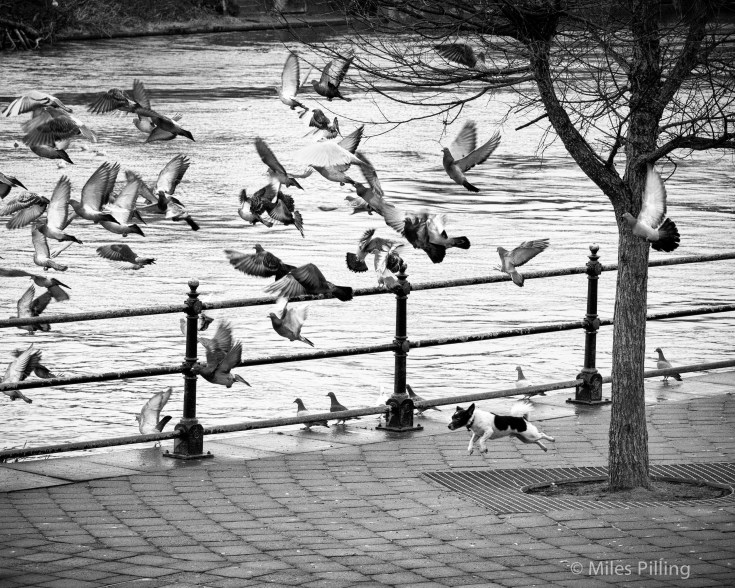 260116_336-Edit-2-Edit-2